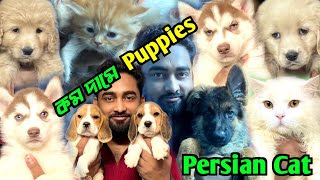 Persian Cat & Puppies Sale Low Price. Dog Market in Kolkata Price. Cat Market in Kolkata.