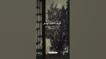[SURAH AS-SAFF 4]   [سوره الصف :٤]