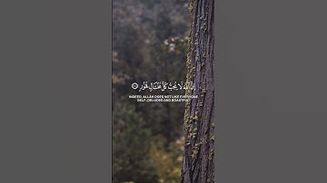 تلاوة خاشعة ، من سورة لقمان ، تهز القلب ، وتشرح الصدر بذكر الله ، اللهم أجعل القران العظيم #اكسبلور