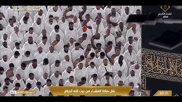 ﴿ قَالَ كَمْ لَبِثْتُمْ فِي الْأَرْضِ عَدَدَ سِنِينَ﴾ [ سورة المؤمنون: 112]   #القرآن_الكريم #quran 