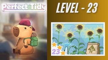 Perfect Tidy Level 23 Solutions
