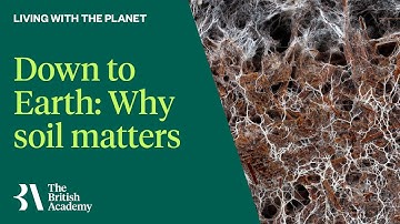 Down to Earth:  Why soil matters