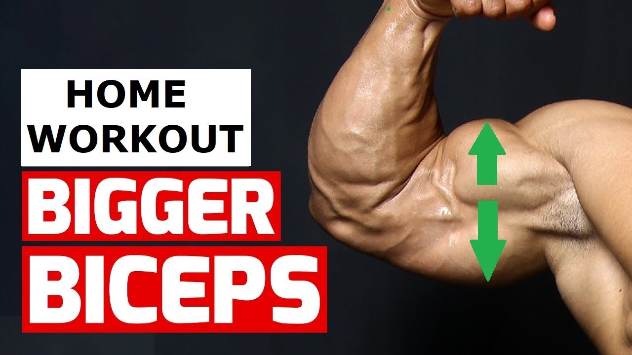 Build Powerful ARMS at HOME (Home Exercise) YouTube
