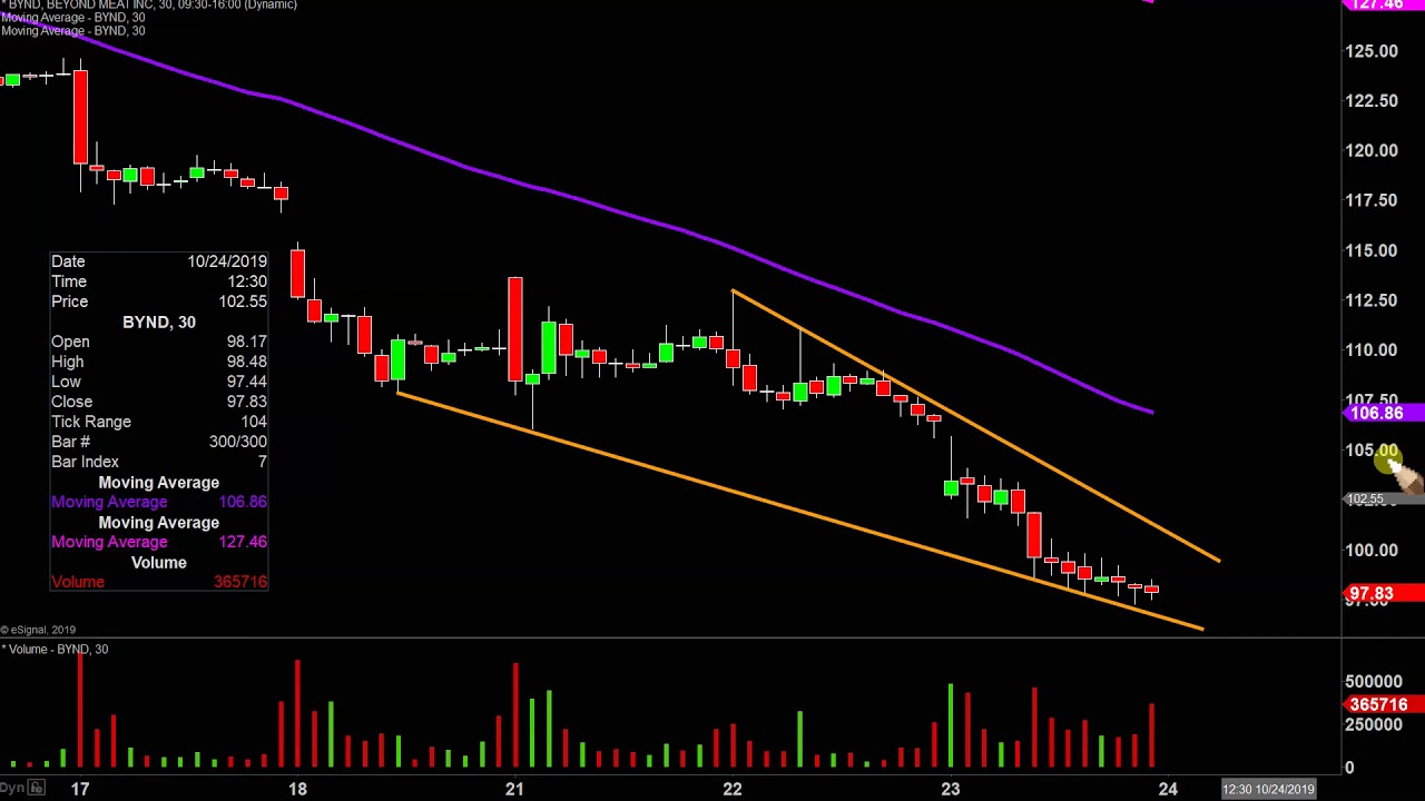 Beyond Meat Stock Chart