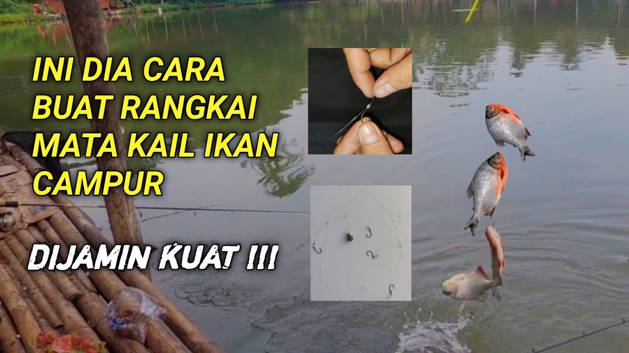 RANGAKAIAN MATA KAIL IKAN CAMPUR