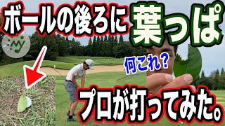 【ゴルフ 検証】ボールの後ろに動かせない葉っぱが。どうなるのかプロが打って検証しました！[mygolf 美スイング アプローチ バンカー トラブルショット 分析 疑問 謎]