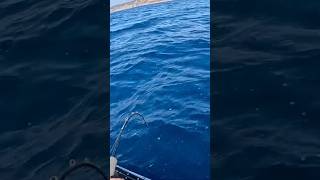 ΕΠΙΑΣΑ ΧΕΛΩΝΑ ΜΕ ΤΟ ΚΑΝΟ😱 subscribe +🔔 #ψάρεμα #fishing #kayakfishingtips #fish