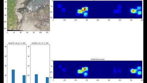 Sealion Counting with count-ception