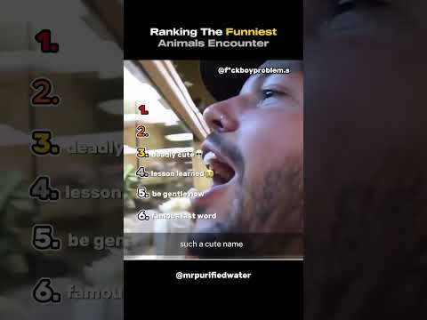 Ranking Most Funniest Animal Encounters Moments