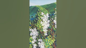 Vẽ tranh 3D phong cảnh "Tây Bắc" tại Lạc Long Quân, Hà Nội