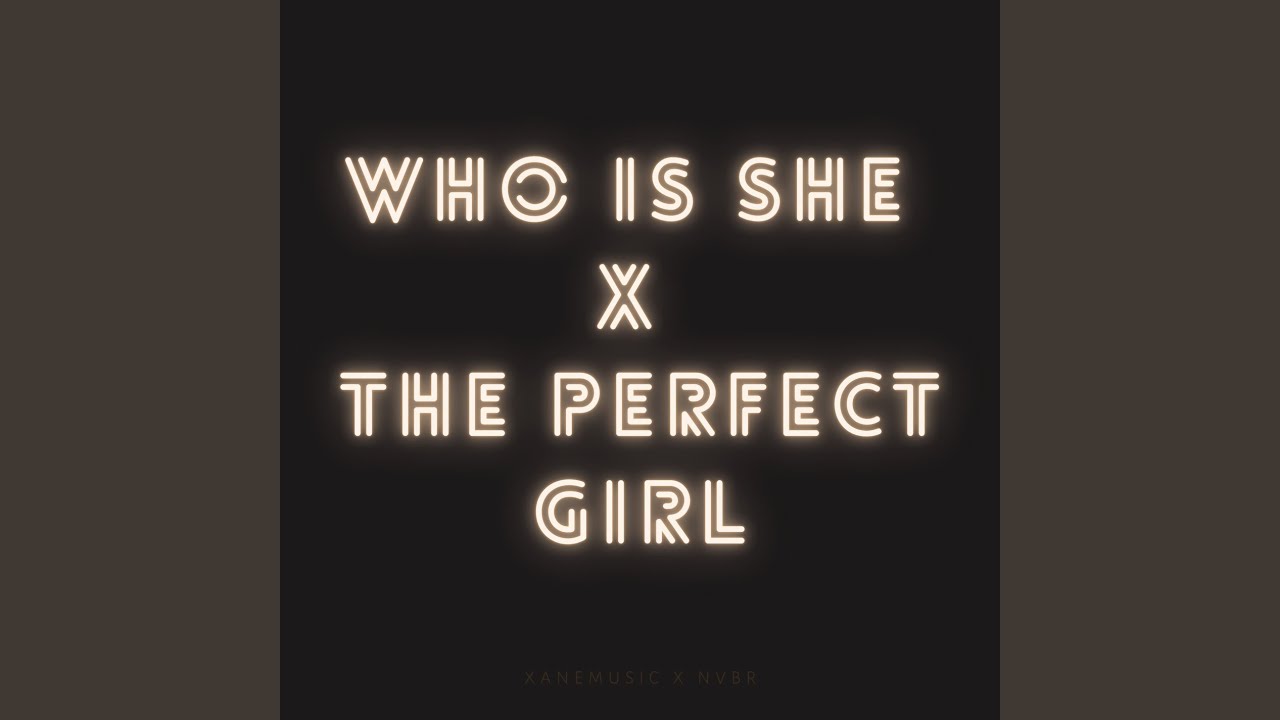 Who Is She x The Perfect Girl Remix