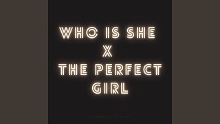 Who Is She x The Perfect Girl (Remix)