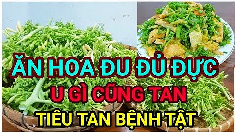Ăn HOA ĐU ĐỦ ĐỰC XÀO TRỨNG vị thuốc kháng sinh tự nhiên U GÌ CŨNG TAN, TIÊU TAN BỆNH TẬT bất ngờ