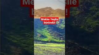 Kıyamet Alameti Gerçek Oluyor