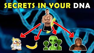 Interesting facts about the genome (DNA)