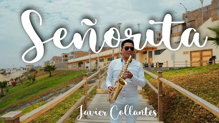 Seorita - Shawn Mndes, Camila Cabello - Javier Col...