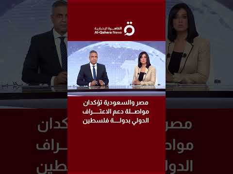 مصر والسعودية تؤكدان مواصلة دعم الاعتراف الدولي بدولة فلسطين