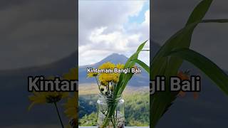 Gunung Batur Kintamani Bangli Bali #shorts #bali #youtubeshorts #kintamani #youtubeshorts