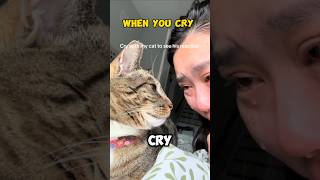 Your Cat Knows When You're Crying 😿 #cat #animalfacts #pets