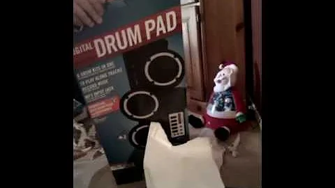 VIDEO0148