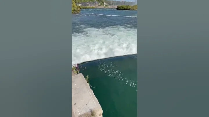 Mom and Dad Dance Forever going over the Falls