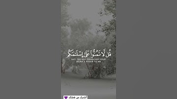 قرآن كريم بصوت القارئ عبد الرحمن العمري 💛 صوته خيالي