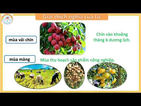 Tiếng Việt Lớp 2 - Bài 2: Làm việc thật là vui