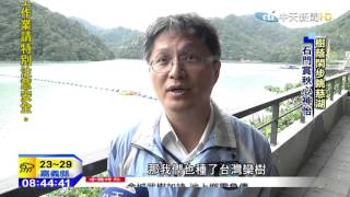 20151022中天新聞 入秋北橫賞楓吃活魚 遊客:不輸給國外