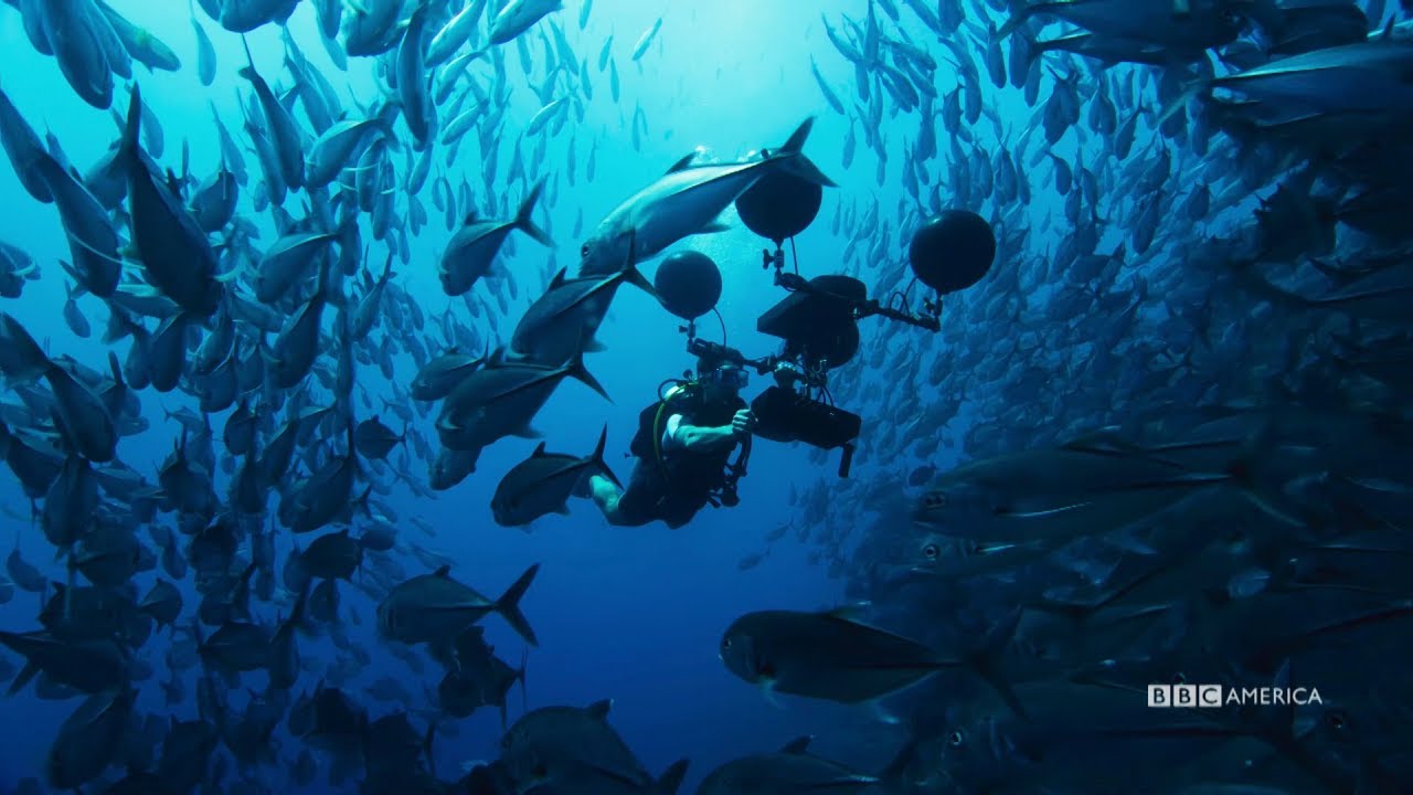 planet earth blue planet 2 planet earth blue planet 2