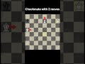 2 moves// #chess #grandmaster #shorts