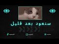صاحين نايمين