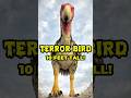 10 Feet of PURE TERROR 🦅