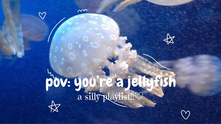 pov: you're a jellyfish ଳ⋆｡𖦹° [playlist]