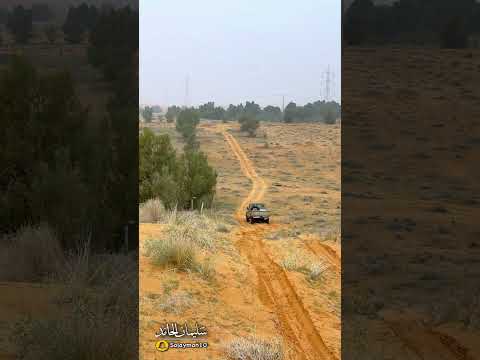 يازين التمشي بين المزارع