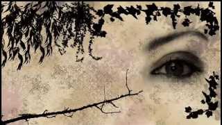 Parijat - Most Beautiful Splendour-Lukas Termena Mix (eTernalmusicradio rework)