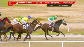 Vidéo de la course PMU PRIX RIO LOBO