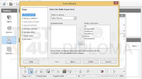 Create a new form, in columnar-labels left layout, that will display all fields of the Movies...