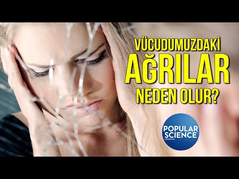 Vücudumuzdaki Ağrılar Neden Olur? | Popular Science Türkiye