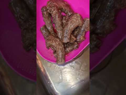 تجربة رقبة البط الاسود  