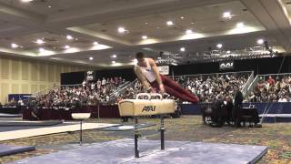 Hunter Justus - Pommel Horse - 2015 Winter Cup Finals