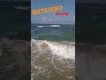 погода на море сегодня ВИТЯЗЕВО анапа