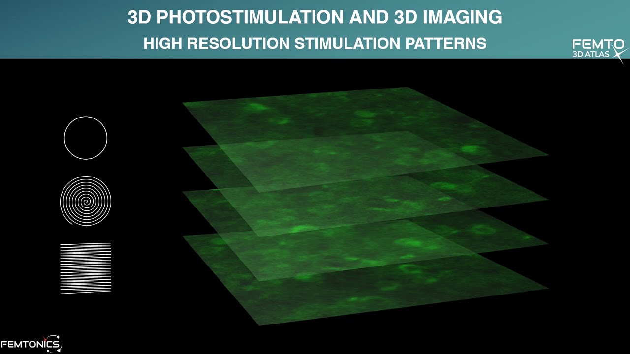 WEBINAR: Atlas for Science - Capture fast fluorescence changes from network to spine scale