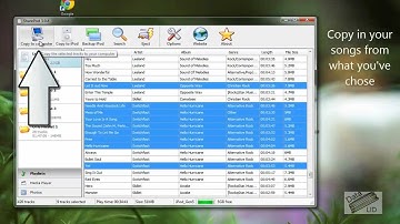Transfer music, pictures, videos from your iPod to your computer!
