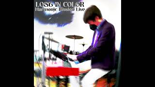 Harmonic Illusion - Lost in Color (Live)