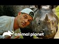 Frank escapa de ataque de um rinoceronte-indiano | Perdido na Ásia | Animal Planet Brasil