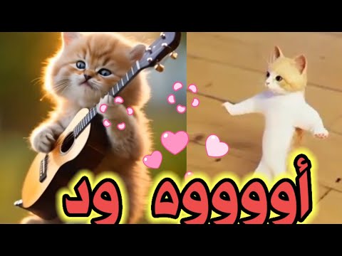 اغنية باسم ود الحلوة عيد ميلاد ود بالتعليق المثبت سطلانة السعودية الامارات تركيا العراق قطر دبي جده