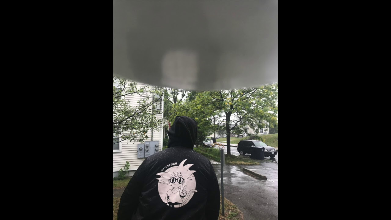 SH4MEL   MAPLE LEAVES N TREE'S