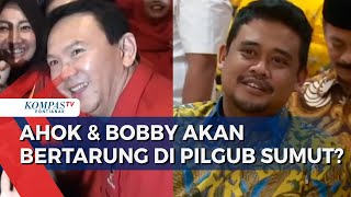 Pilgub Sumut: PDIP Berencana Usung Ahok \u0026 Djarot, Bobby Nasution Berpeluang Diusung Golkar