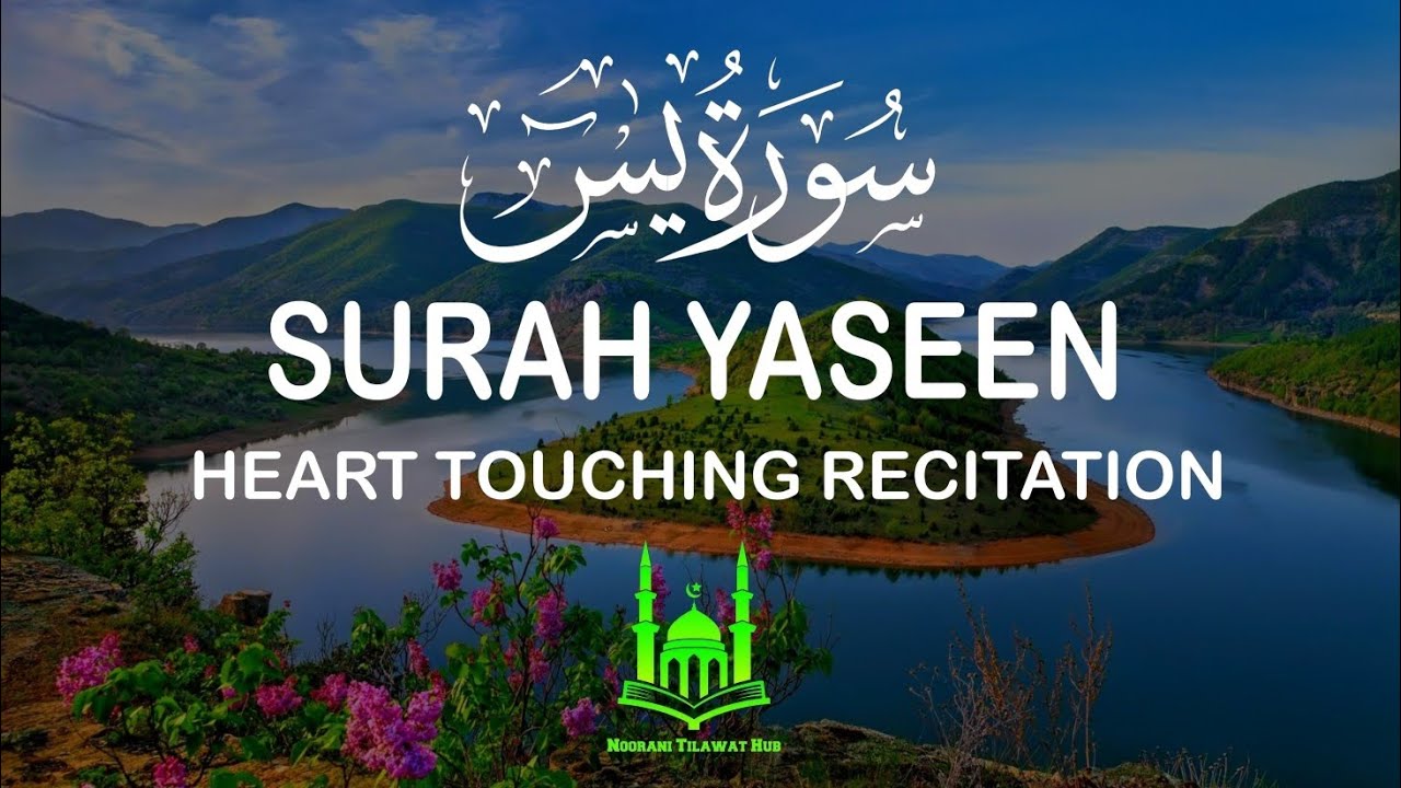 Surah Yasin Full Listen Every Morning All Your Problem Will Be Solved InshaAllah NOORANI TILAWAT HUB