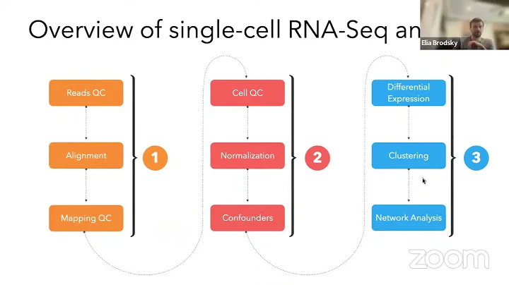 Single Cell Transcriptomics: Overview, Processing & Downstream Analysis - DayDayNews